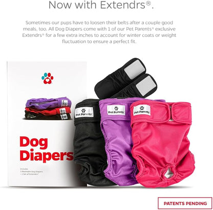 Pet Parents® Washable Dog Diapers (3pack) + Extendrs® of Durable Doggie Diapers, Premium Dog Diapers Female (Large, Princess)