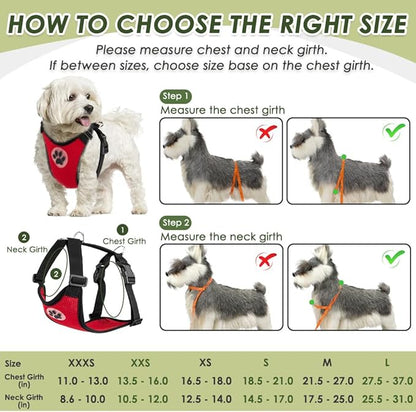 SlowTon Dog Seat Belt Harness for Car, Dog Car Harness Adjustable Mesh Breathable &amp; Dog Seatbelt Safety Tether with Elastic Bungee for Small Medium Large Pets(Red, Double Clip, L)