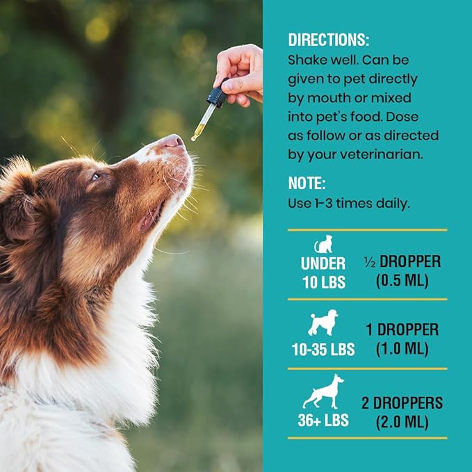 Special Breed Allergy &amp; Immune with Elderberry, Allergy Relief for Cats and Dogs, Anti Itch Treatment, Relief for Pet Allergies, Immune Support for Cat or Dog, 2 oz