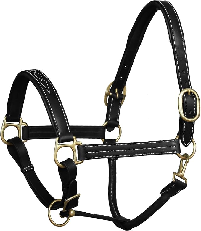 Exion Leather Horse Halter with Fancy Stitching | Black &amp; Brown Padded Halter with Brass Hardware | Quick-Release Snap | Adjustable Leather Halter – Cob, Full, Over, Pony Sizes
