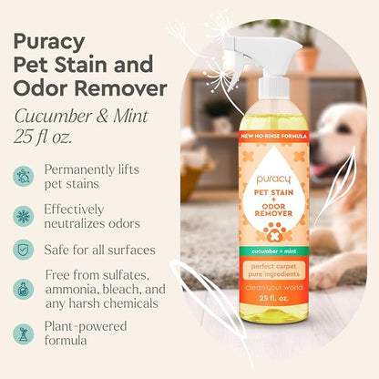 Puracy Pet Stain and Odor Remover - Enzyme Cleaner for Dog Urine and Poop Carpet - Cat Pee Enzyme for Cat Urine Cleaner Destroyer - Cucumber &amp; Mint, 25oz