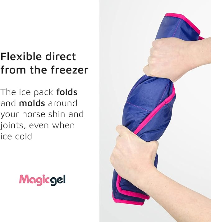Magic Gel Horse Ice Pack with Carry Case - Single Ice Boots | Cooling Horse Leg Wraps for Hock, Ankle, Knee, Legs, Boots, and Hooves | Horse Tack &amp; Horse Supplies &amp; Ideal Gift for Horse Lovers Women