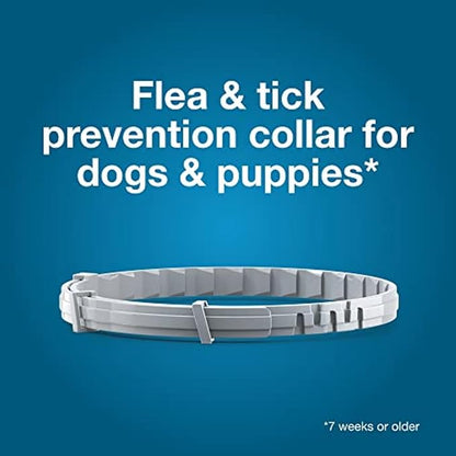 Seresto Large Dog Vet-Recommended Flea &amp; Tick Treatment &amp; Prevention Collar for Dogs Over 18 lbs. | 8 Months Protection