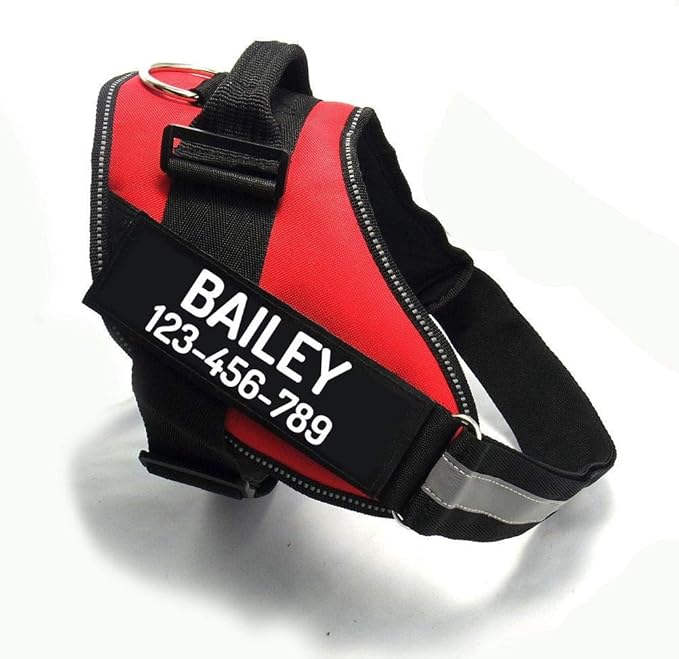 PawPawify Custom No Pull Dog Harness with Name and Phone Number, Heavy Duty Personalized Pet Vest to Prevent Tugging, Pulling, or Choking, Training and Walking (Red, S (10-19LBS))