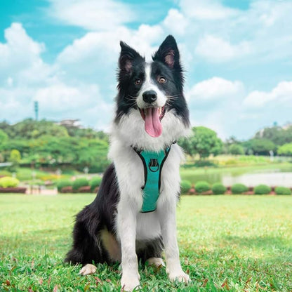 PoyPet No Pull Dog Harness, Reflective Comfortable Vest Harness with Front &amp; Back 2 Leash Attachments and Easy Control Handle Adjustable Soft Padded Pet Vest for Small to Large Dogs (Mint Blue,XL)