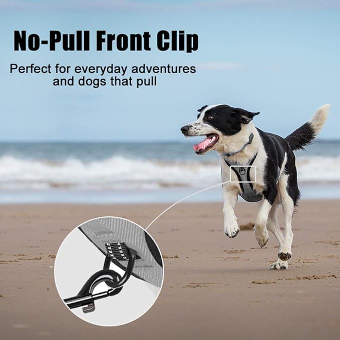 PoyPet No Pull Dog Harness, Reflective Comfortable Vest Harness with Front &amp; Back 2 Leash Attachments and Easy Control Handle Adjustable Soft Padded Pet Vest for Small to Large Dogs (Gray,XL)