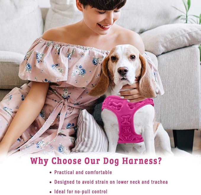 Comfort Fit Dog Harness No Pull No Escape Harness Adjustable Buckles Soft Padded Reflective Choke Step in Dog Vest with Easy Control Handle for Small Medium Large Dogs &amp; Puppies