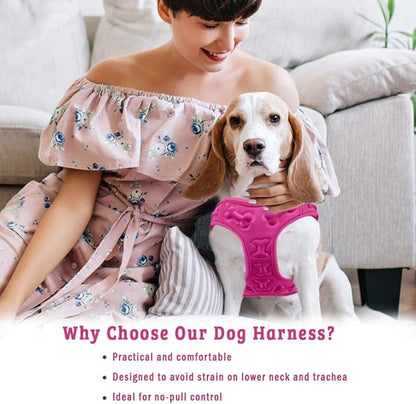 Comfort Fit Dog Harness No Pull No Escape Harness Adjustable Buckles Soft Padded Reflective Choke Step in Dog Vest with Easy Control Handle for Small Medium Large Dogs &amp; Puppies