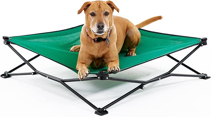 Coolaroo On-The-Go Elevated Dog Bed - Foldable Pop-Up Travel Dog Bed with Breathable, Moisture-Resistant Fabric, Carry Bag Included, Lightweight &amp; Portable, Emerald Green, Large
