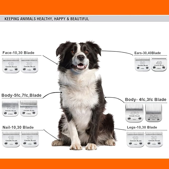 5PCS 10 Blades Dog Grooming Replacement Blades Compatible with Andis Pet Clipper/Oster A5/Wahl KM Series Dog Clipper,Ceramic Blade &amp; Stainless Steel Blade, Size ：