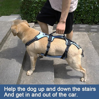 Coodeo Dog Lift Harness, Full Body Support &amp; Recovery Sling, Pet Rehabilitation Lifts Vest for Old Dog with Arthritis Walk(Bule,L)