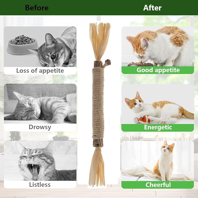 3 PCS Silvervine Sticks for Cats - Natural Cat Chew Toys for Teeth Cleaning, Kitten Teething &amp; Aggressive Chewers