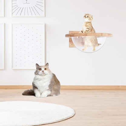 Wooden Cat Hammock, Clear Space Capsule Cat Bed, Wall-Mounted Kitten Walls Shelves Kitty Beds Small Pets Beds, Cats Toy Perch House for Sleeping, Playing, Climbing and Lounging