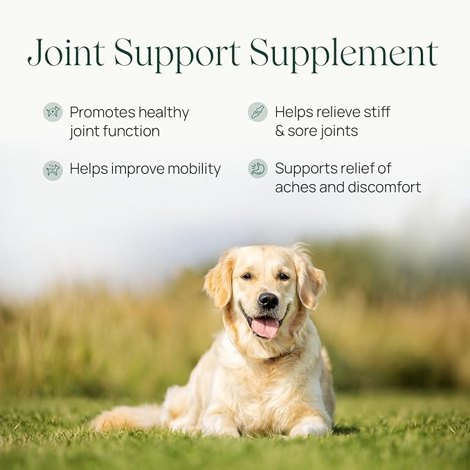 pawTree Joint &amp; Hip Support Supplement for Dogs &amp; Cats with Glucosamine, Chondroitin, MSM, Tumeric &amp; Green Lipped Mussels - Vitamins &amp; Health Essentials - All-Natural Mobility Soft Chews