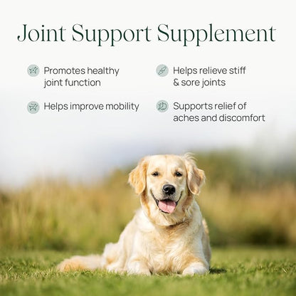 pawTree Joint &amp; Hip Support Supplement for Dogs with Glucosamine, Chondroitin, MSM, Tumeric &amp; Green Lipped Mussels - Vitamins, Supplements &amp; Health Essentials - All-Natural Mobility Soft Chews