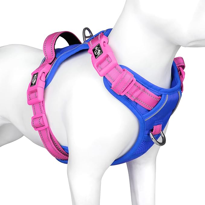 PHOEPET No Pull Dog Harness, Unique Colors Reflective Adjustable Dog Vest, with Soft Training Handle Metal Clips for Small Medium Large Dogs (Royal Blue Base &amp; Pink Straps,M)