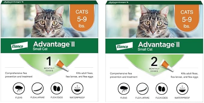 Advantage II Small Cat Vet-Recommended Flea Treatment &amp; Prevention | Cats 5-9 lbs. | 3-Month Supply