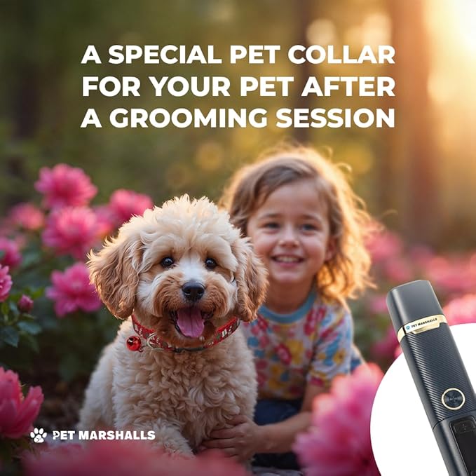 3-in-1 Cat &amp; Dog Nail Grinder with Clipper &amp; File, Quiet LED Trimmer, 3-Speed Pet Grooming Tool, Rechargeable 2000mAh Battery