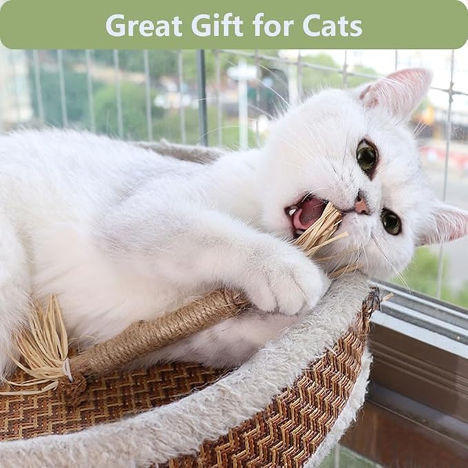 5 PCS Silvervine Sticks for Cats - Natural Cat Chew Toys for Teeth Cleaning, Kitten Teething &amp; Aggressive Chewers