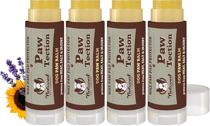 Natural Dog Company PawTection Dog Paw Balm, 4 Pack, Protects Paws from Hot Surfaces, Sand, Salt, &amp; Snow, Organic, All Natural Ingredients (0.15 oz Travel Stick) X 4