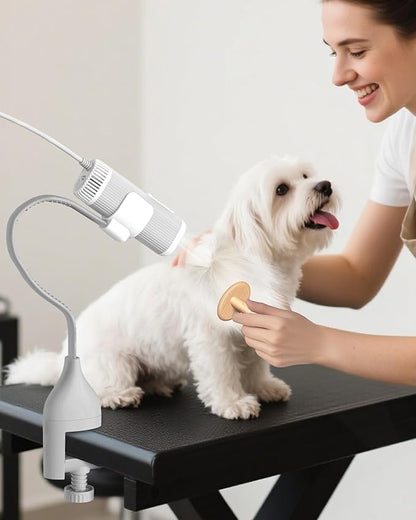 2-in-1 Hands-Free Dog Hair Dryer with Table Clamp – Low Noise Pet Grooming Dryer for Dogs &amp; Cats, Adjustable Heat &amp; Speed, Wearable or Desktop Use(Gray)