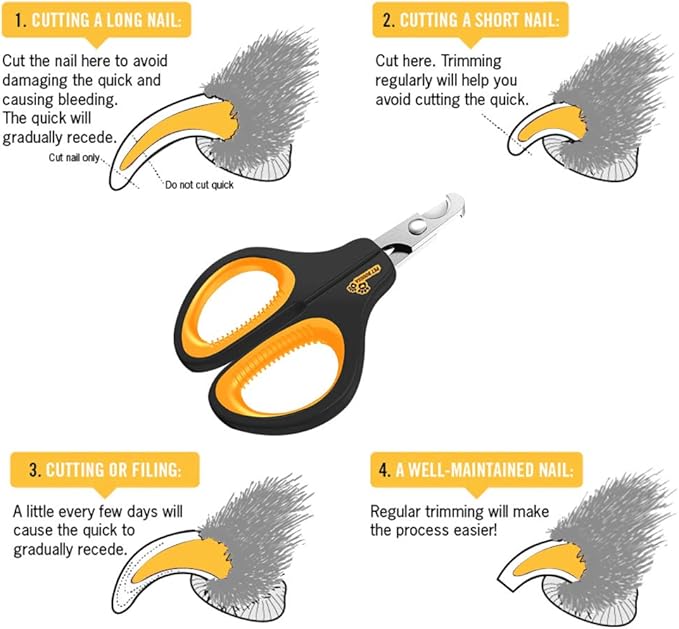 Cat Nail Clipper - Professional Cat Claw trimmer &amp; Cat Claw Clipper - Cat Nail Trimmers Suits All Small Animals such as Dogs, Cats, Puppies, Kittens, Birds, Hedgehogs, ferrets, rabbits, hamsters ..