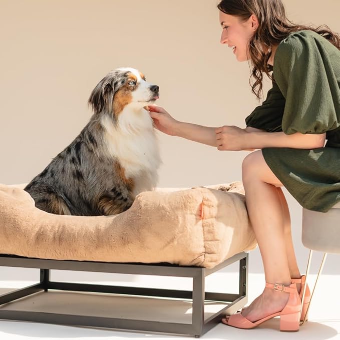 FUZI Luxury Aesthetic Dog Bed with Extra Cover for Medium Dogs, Washable Pet Couch, Pet Bed with Sides, Non-Slip Bottom, Soft &amp; Durable Calming Bed, Faux Rabbit Fur, Medium 31.75x23.6x9.5 Light Brown