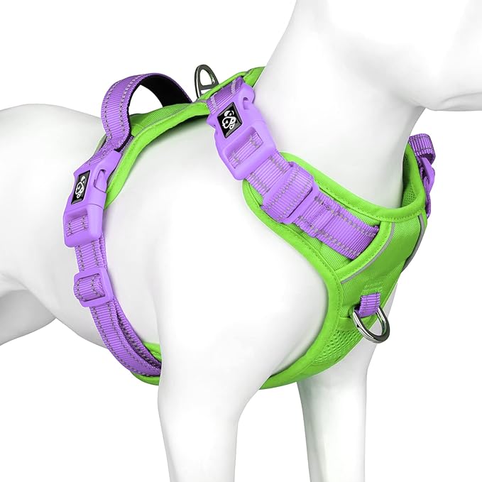 PHOEPET No Pull Dog Harness, Unique Colors Reflective Adjustable Dog Vest, with Soft Training Handle Metal Clips for Small Medium Large Dogs (Green Base &amp; Purple Straps,S)