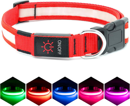 Brighten up your pup&