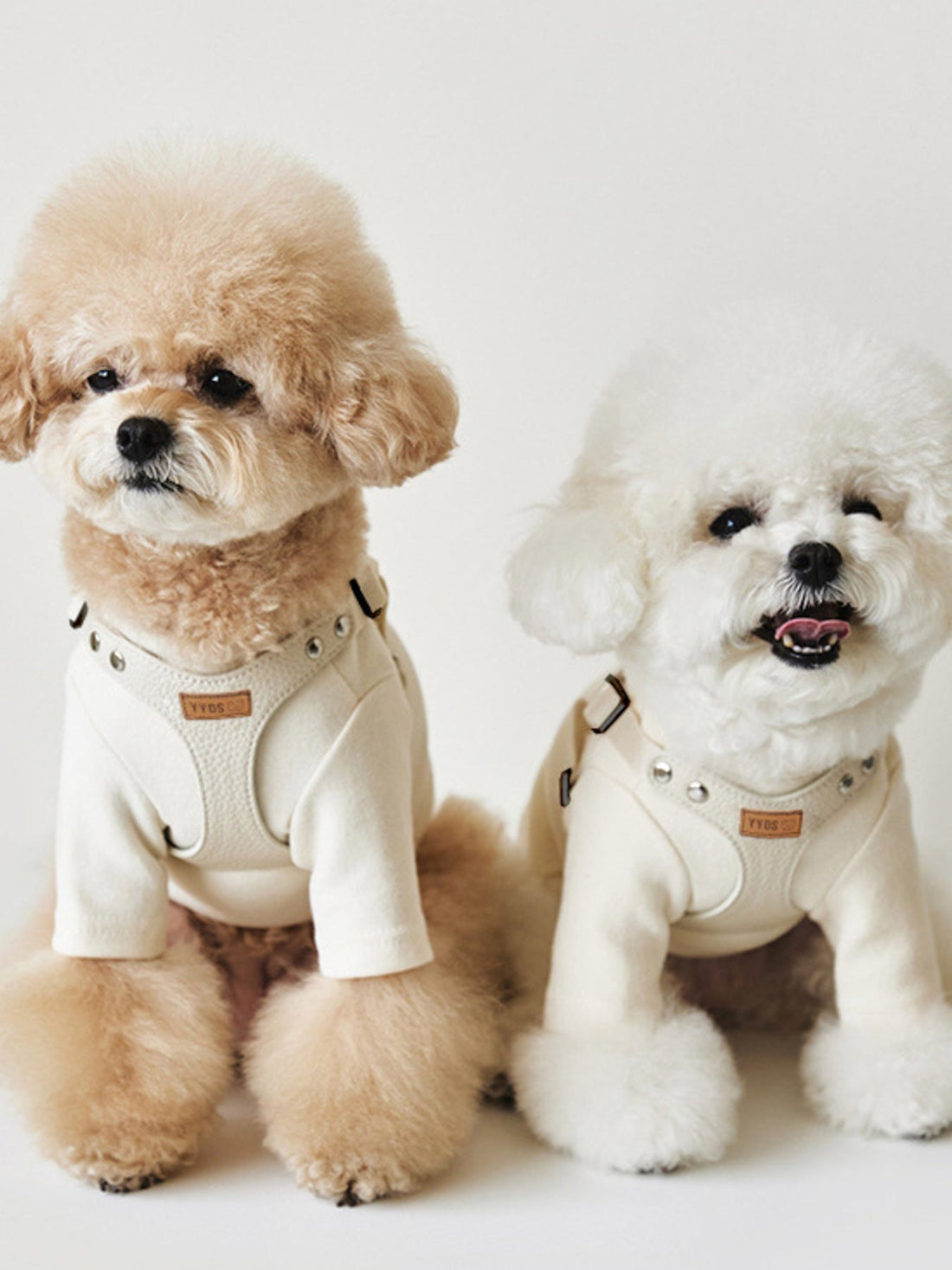 Rivet-Decorated Dog Harness Leash Set