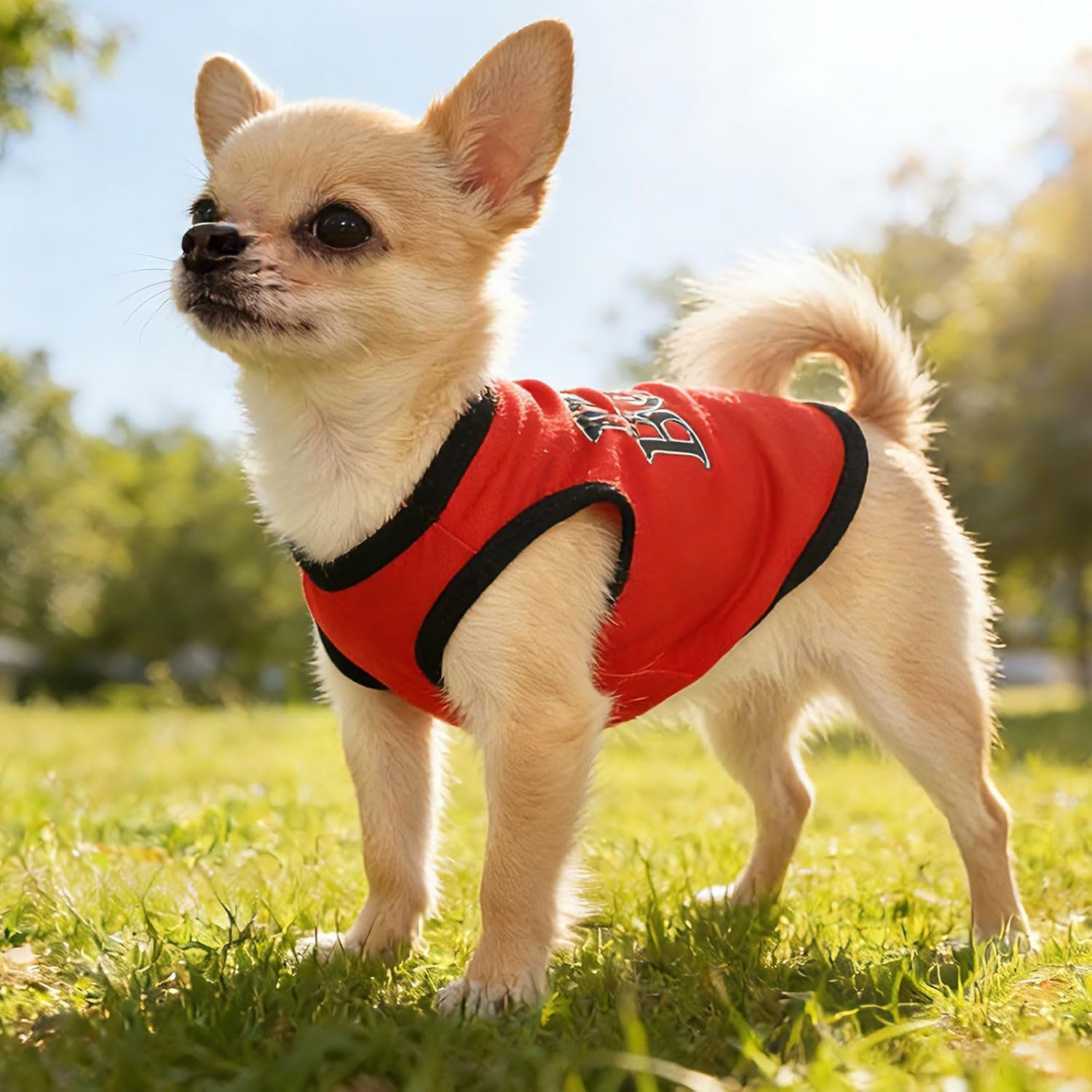 Small Dog Shirts — Cute Puppy Clothes for Chihuahua, Yorkie &amp; Small Breeds | 4-Pack