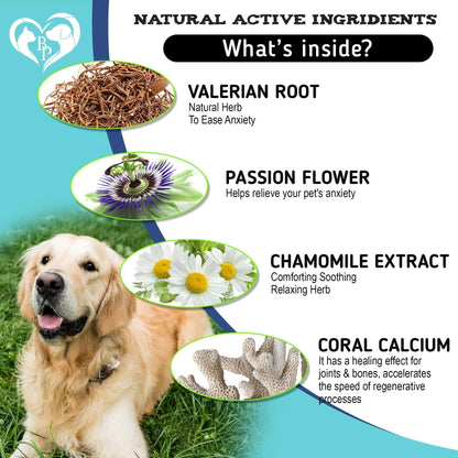 Hemp Calming Chews for Dogs Separation Anxiety Relief