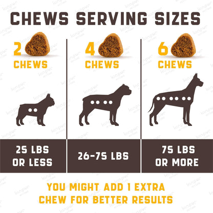 Dog Multivitamin 15-in-1 Immune Digestion Joint &amp; Heart Health