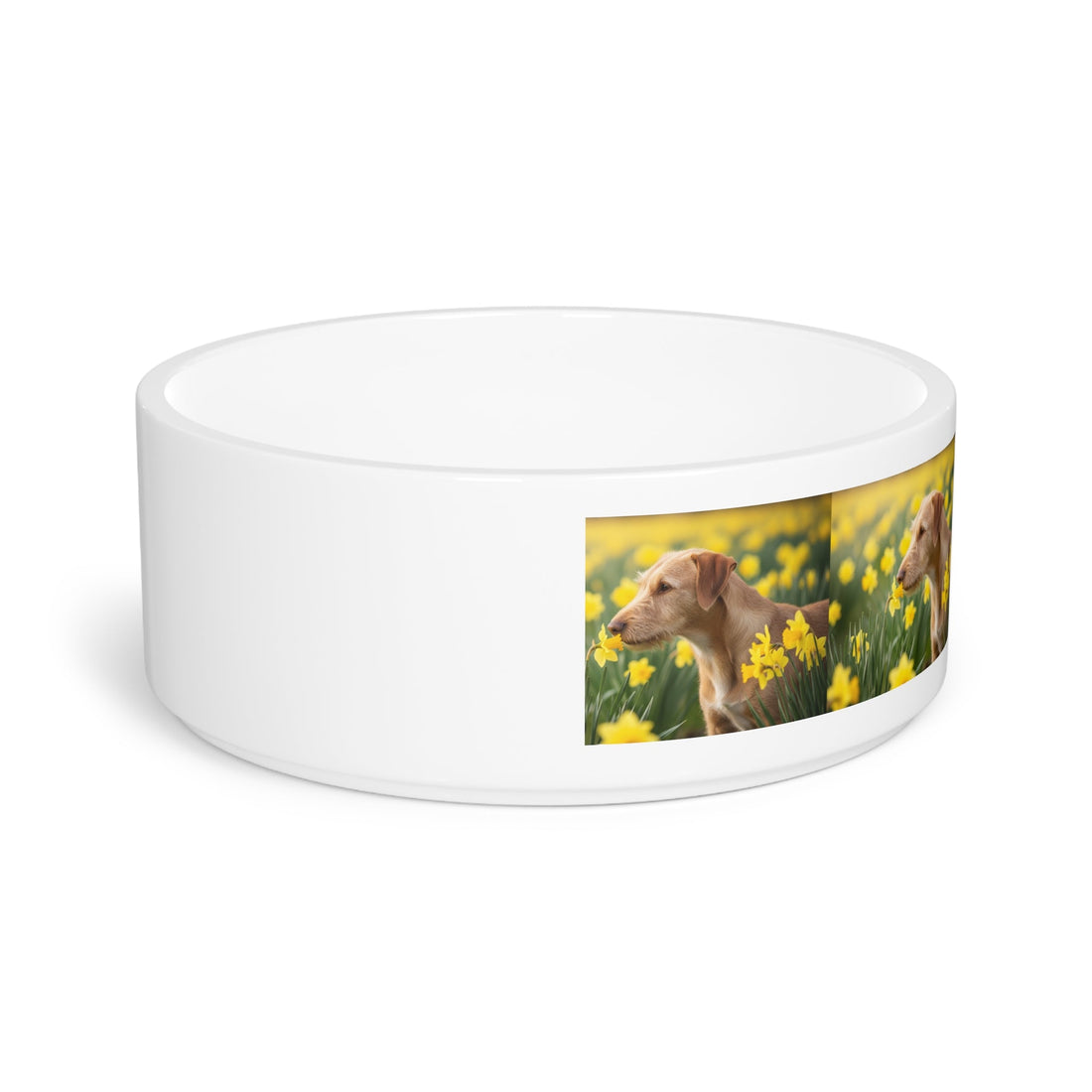 Ceramic Pet Bowl – 16 oz Dog Feeding Bowl