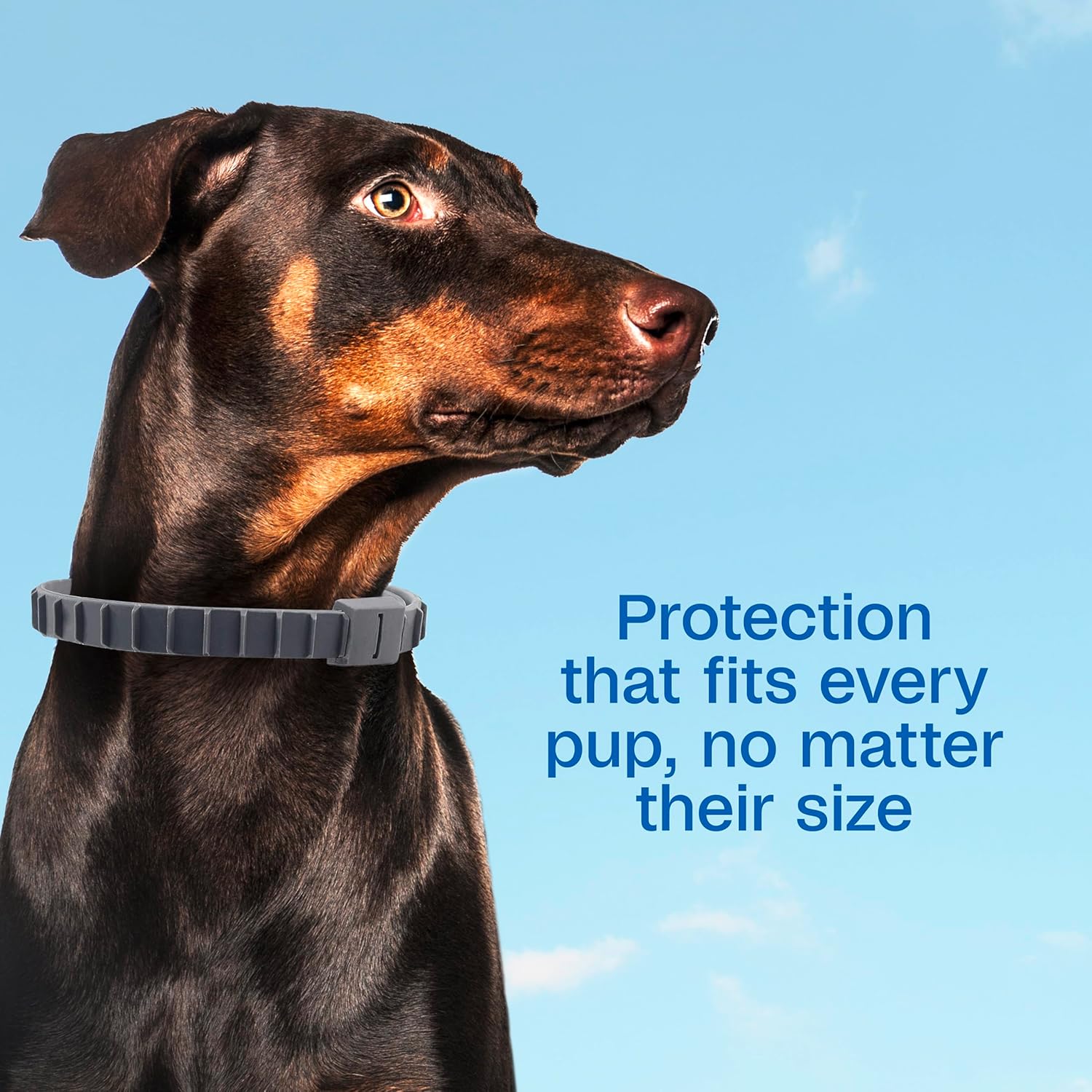 Adams Flea &amp; Tick Collar for Dogs &amp; Puppies Flea Collar Protection 4 Count