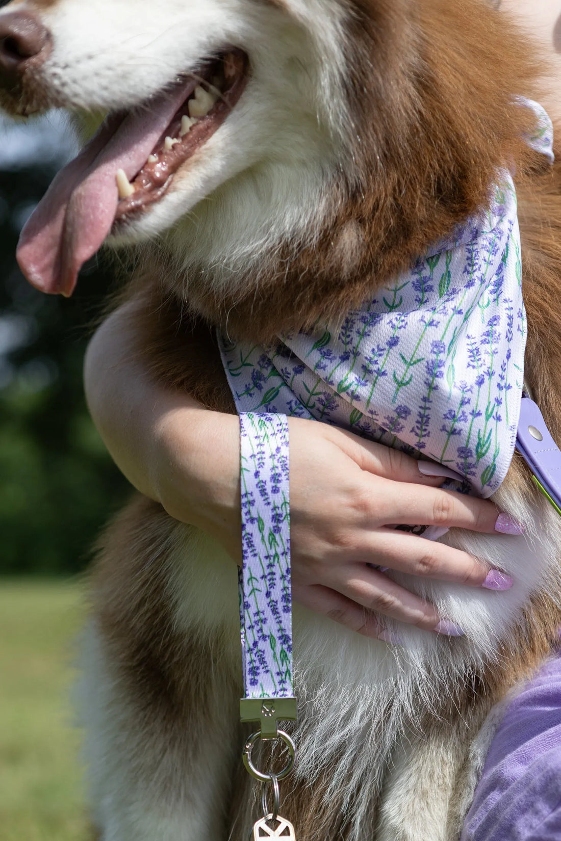 Lavender Blooms Dog Bandana &amp; Matching Keychain