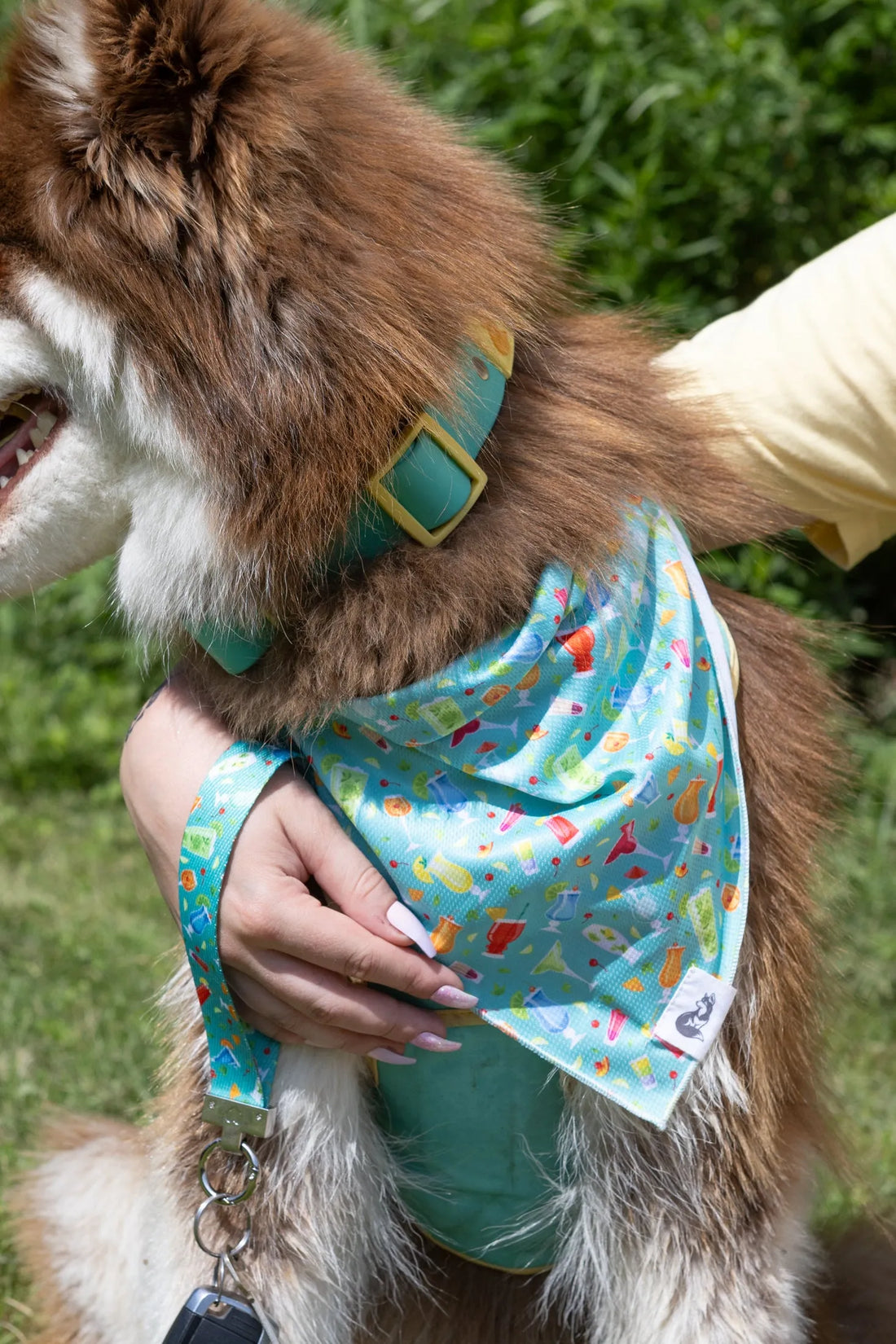 Seaside Sips Dog Bandana &amp; Matching Keychain