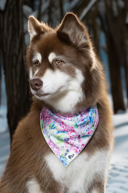 Hydrangea Haven Dog Bandana &amp; Matching Keychain