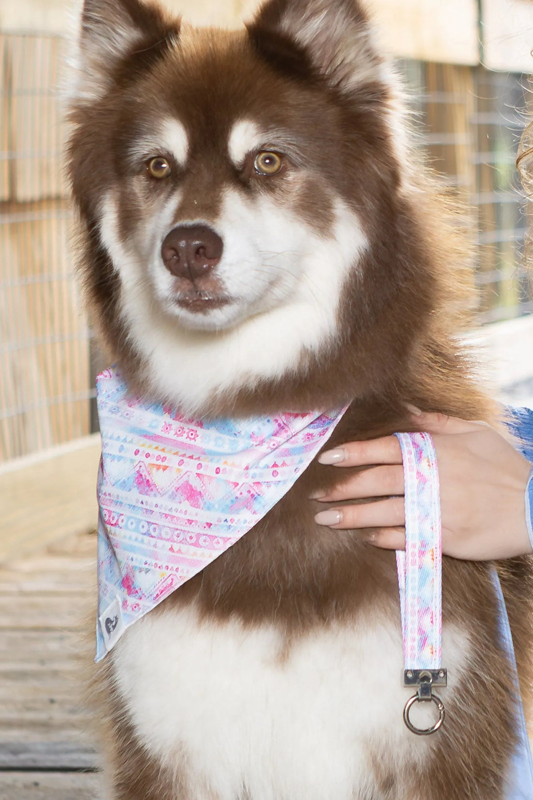 Pink and Blue Tribal Dog Bandana &amp; Matching Keychain