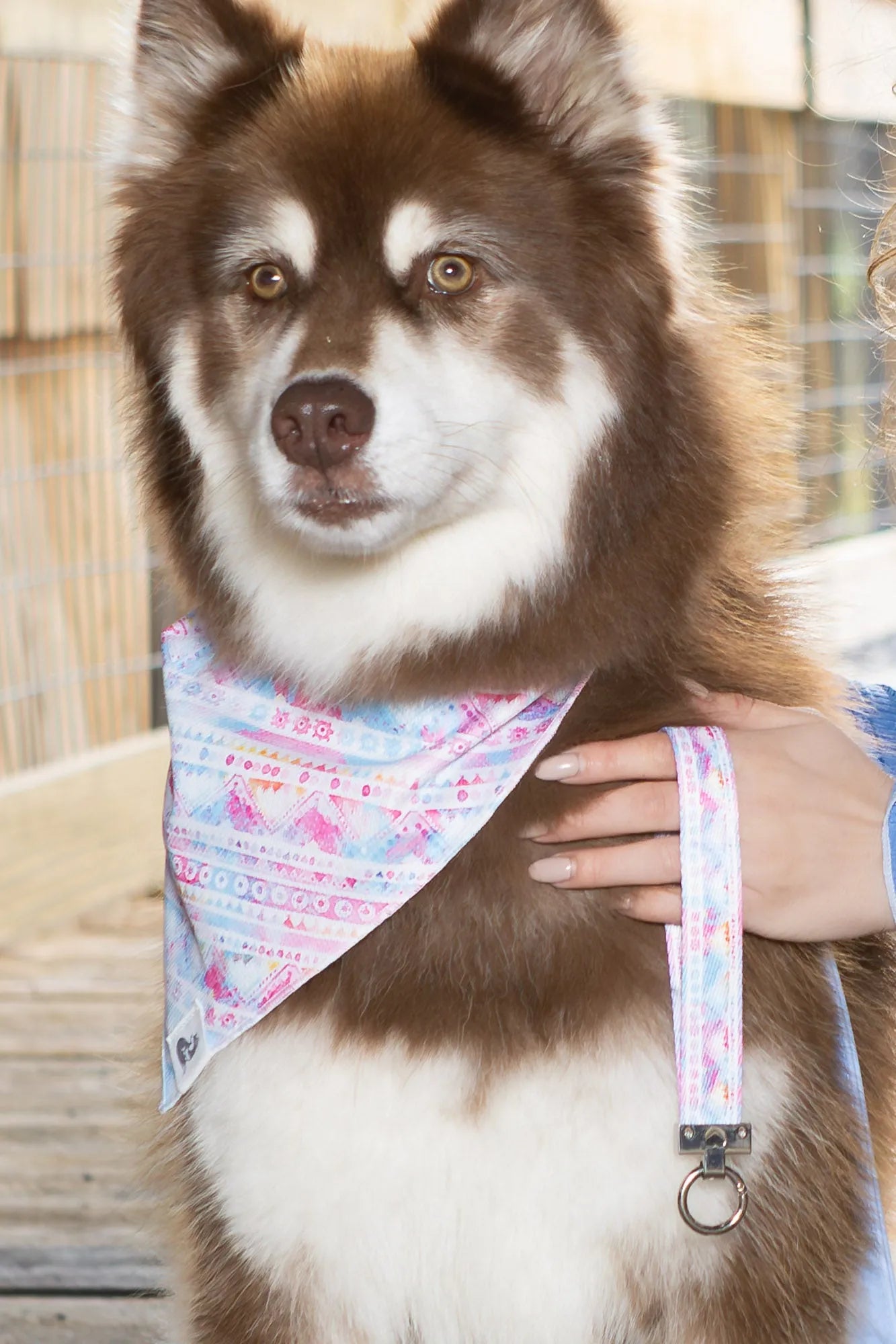 Pink and Blue Tribal Dog Bandana &amp; Matching Keychain