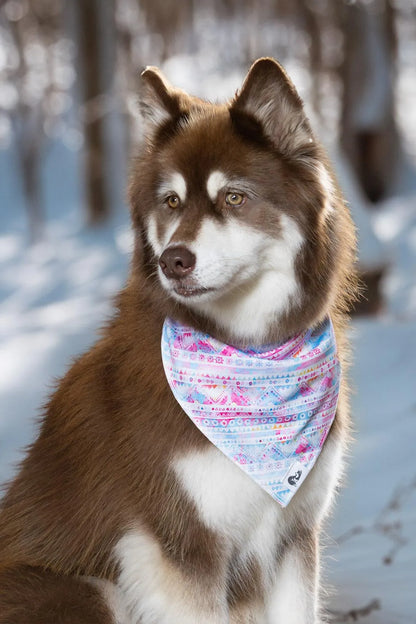 Pink and Blue Tribal Dog Bandana &amp; Matching Keychain