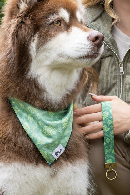 Pine Cone Pup Bandana &amp; Matching Keychain
