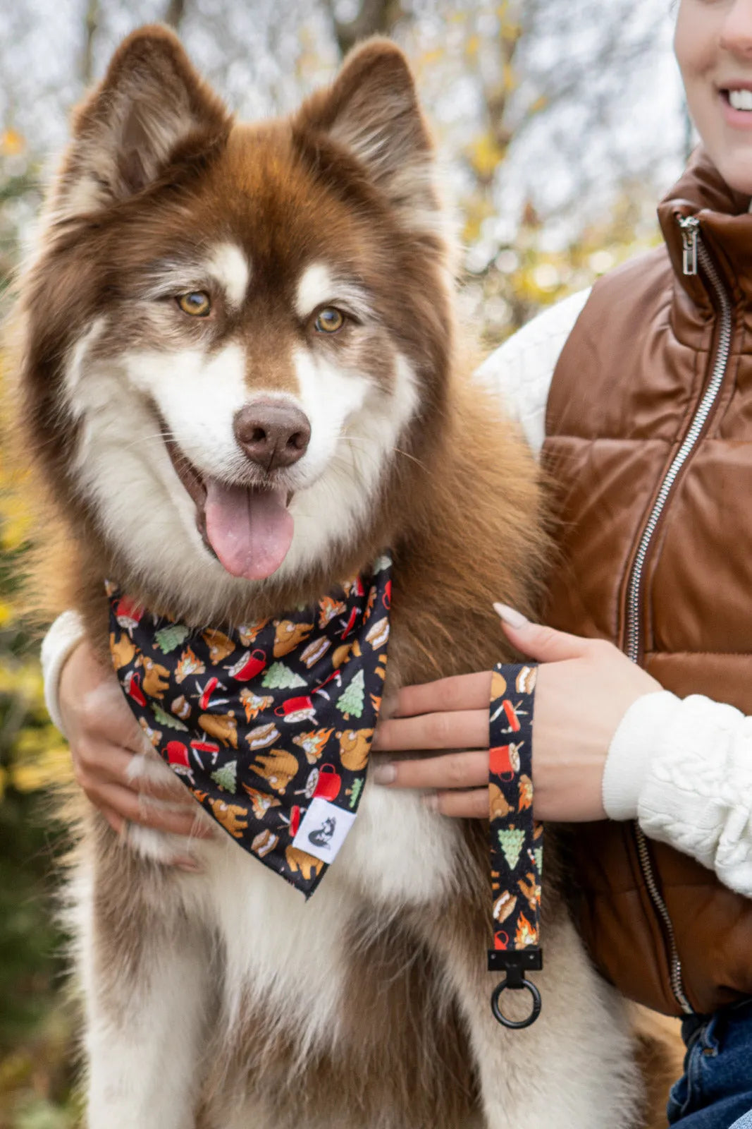 Woodland Tales Dog Bandana &amp; Matching Keychain