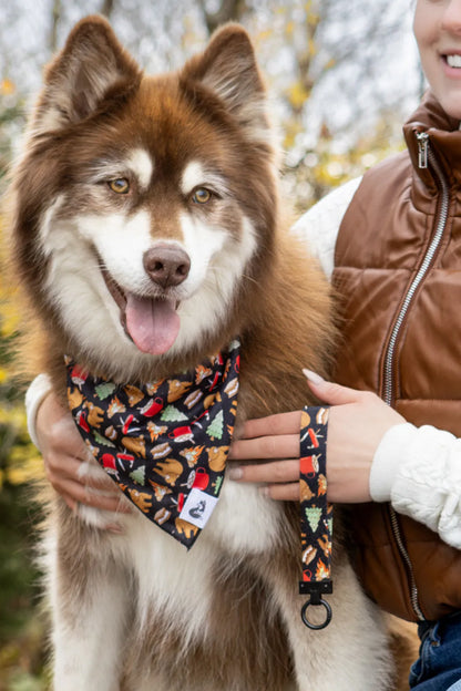 Woodland Tales Dog Bandana &amp; Matching Keychain