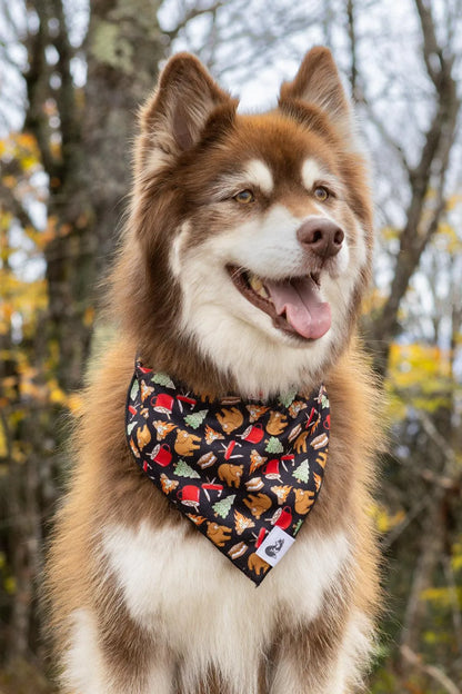 Woodland Tales Dog Bandana &amp; Matching Keychain
