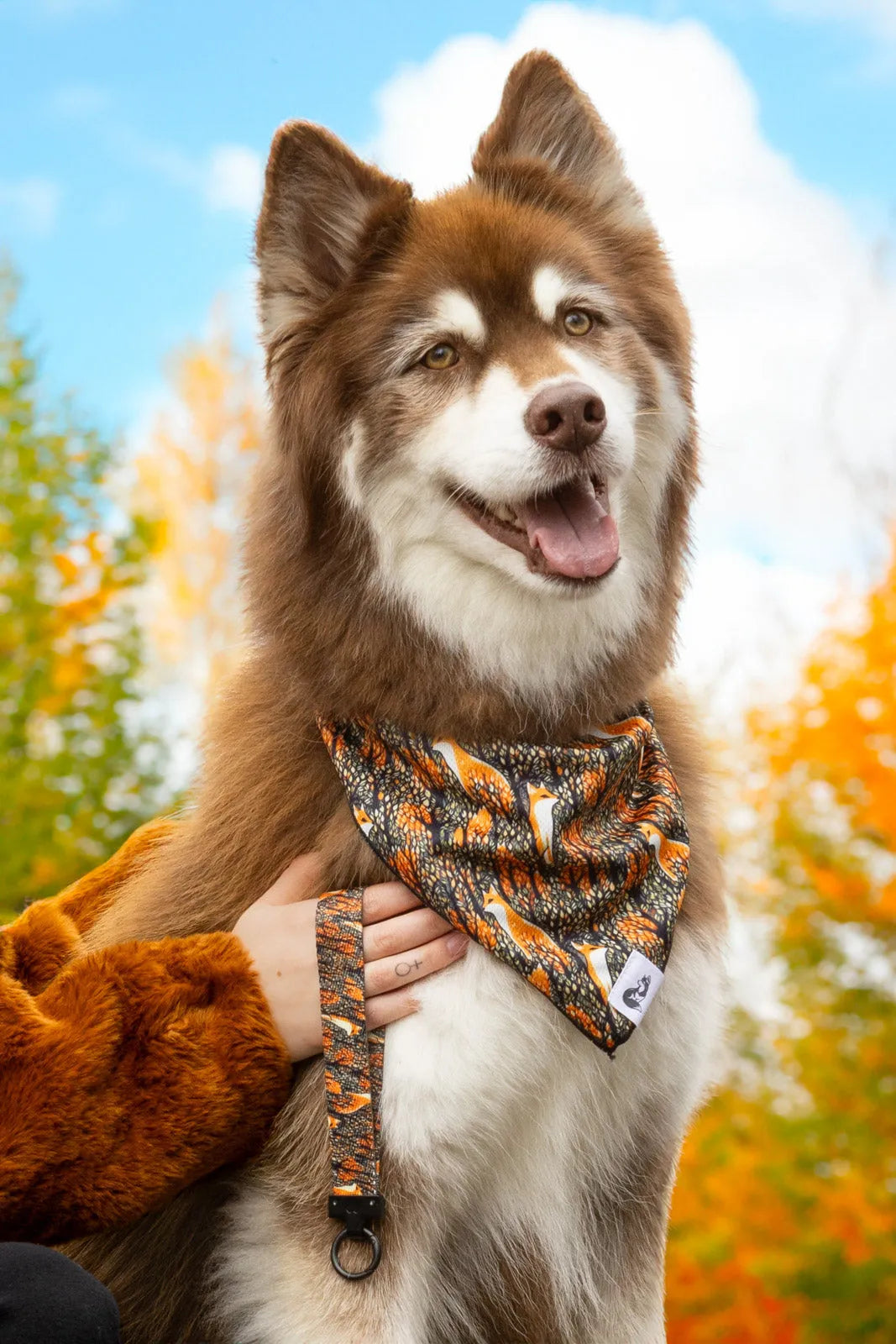 Foxes in Fall Dog Bandana &amp; Matching Keychain