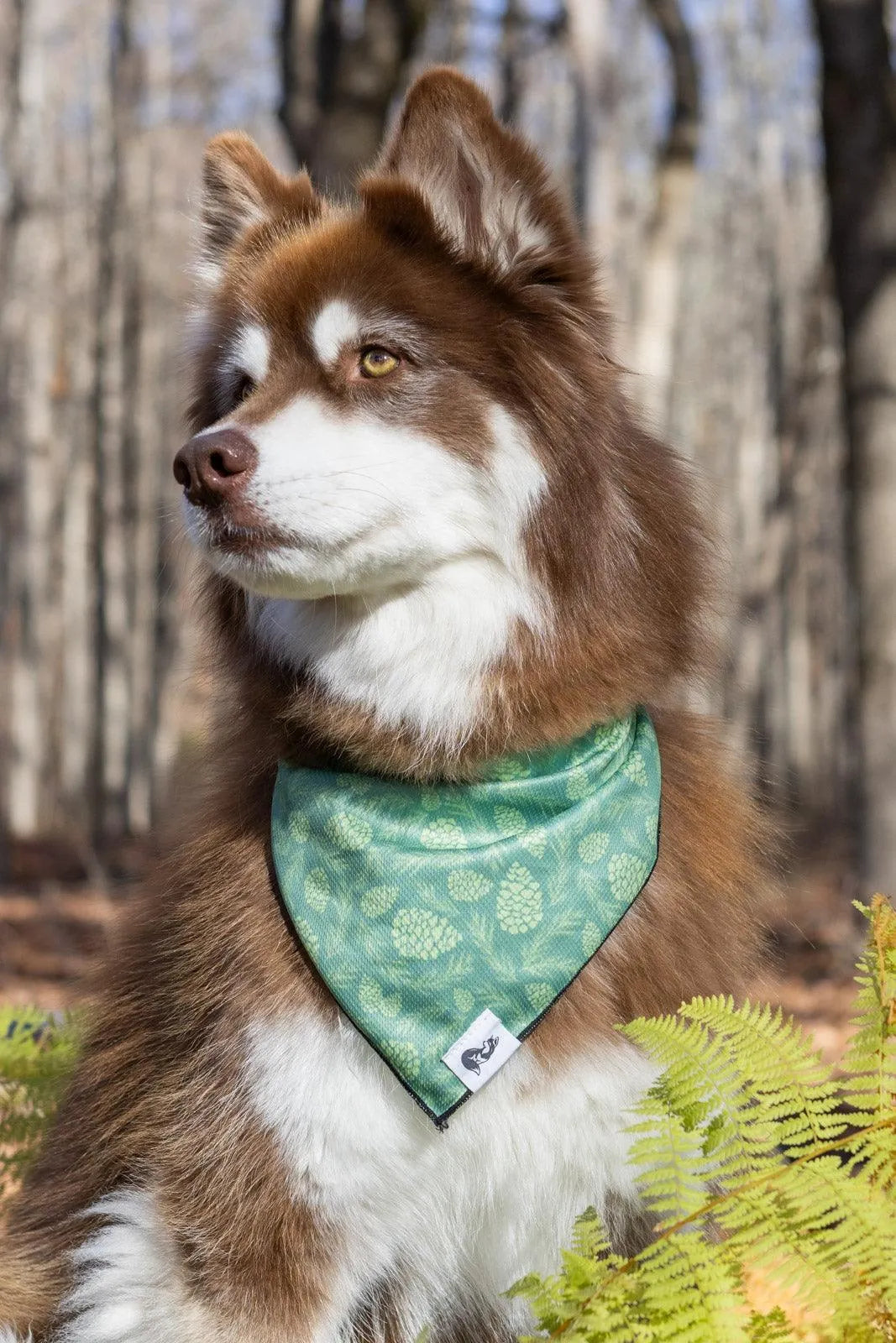 Pine Cone Pup Bandana &amp; Matching Keychain