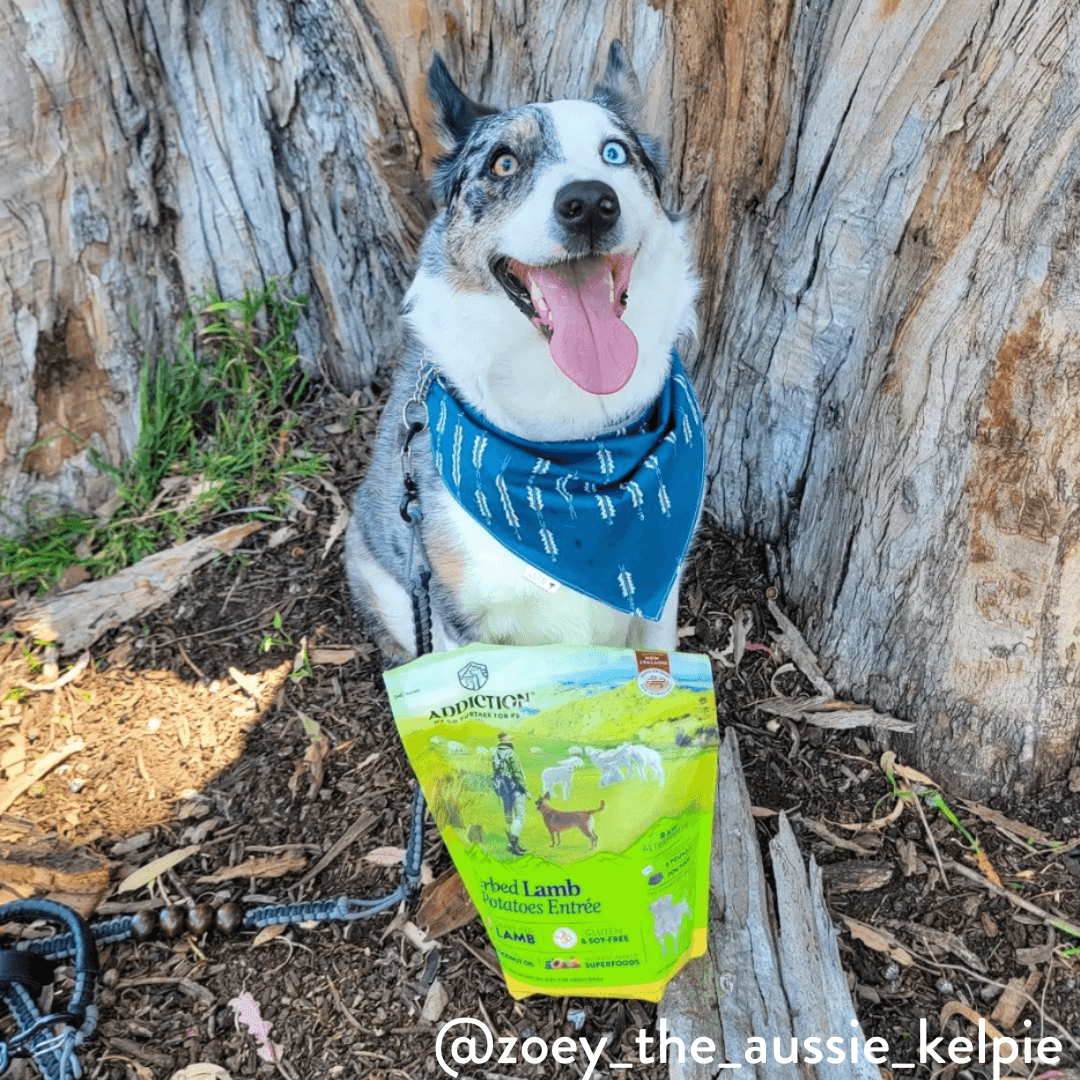 Herbed Lamb &amp; Potatoes Air-Dried Dog Food