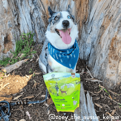 Herbed Lamb &amp; Potatoes Air-Dried Dog Food