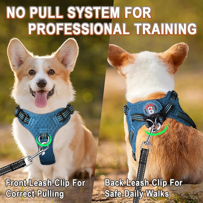 Dog Harness Step in Dog Vest Harness, Reflective Adjustable Puppy No Pull Harness Breathable Soft for Small and Medium Dogs Cats, Blue/Black, S